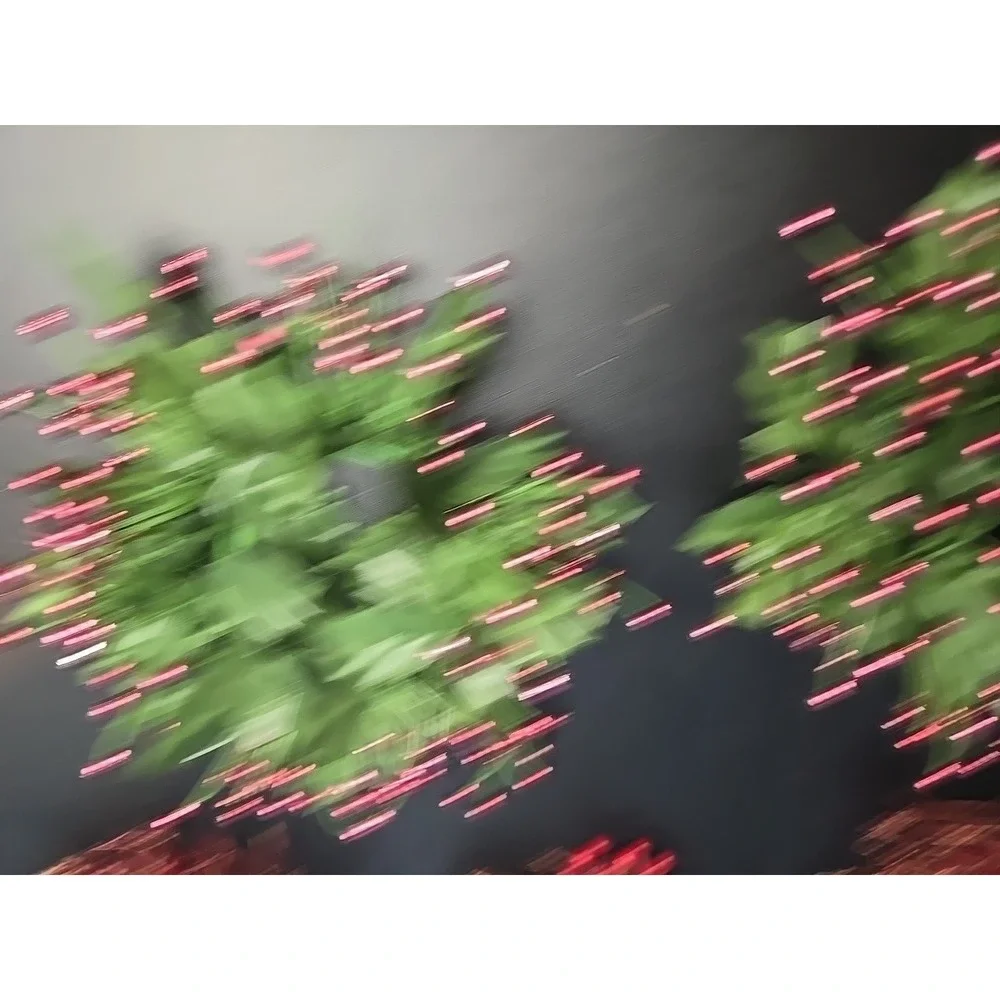 5 Winter Red‎ Berries Twig Candle Ring Winter Wreath 6